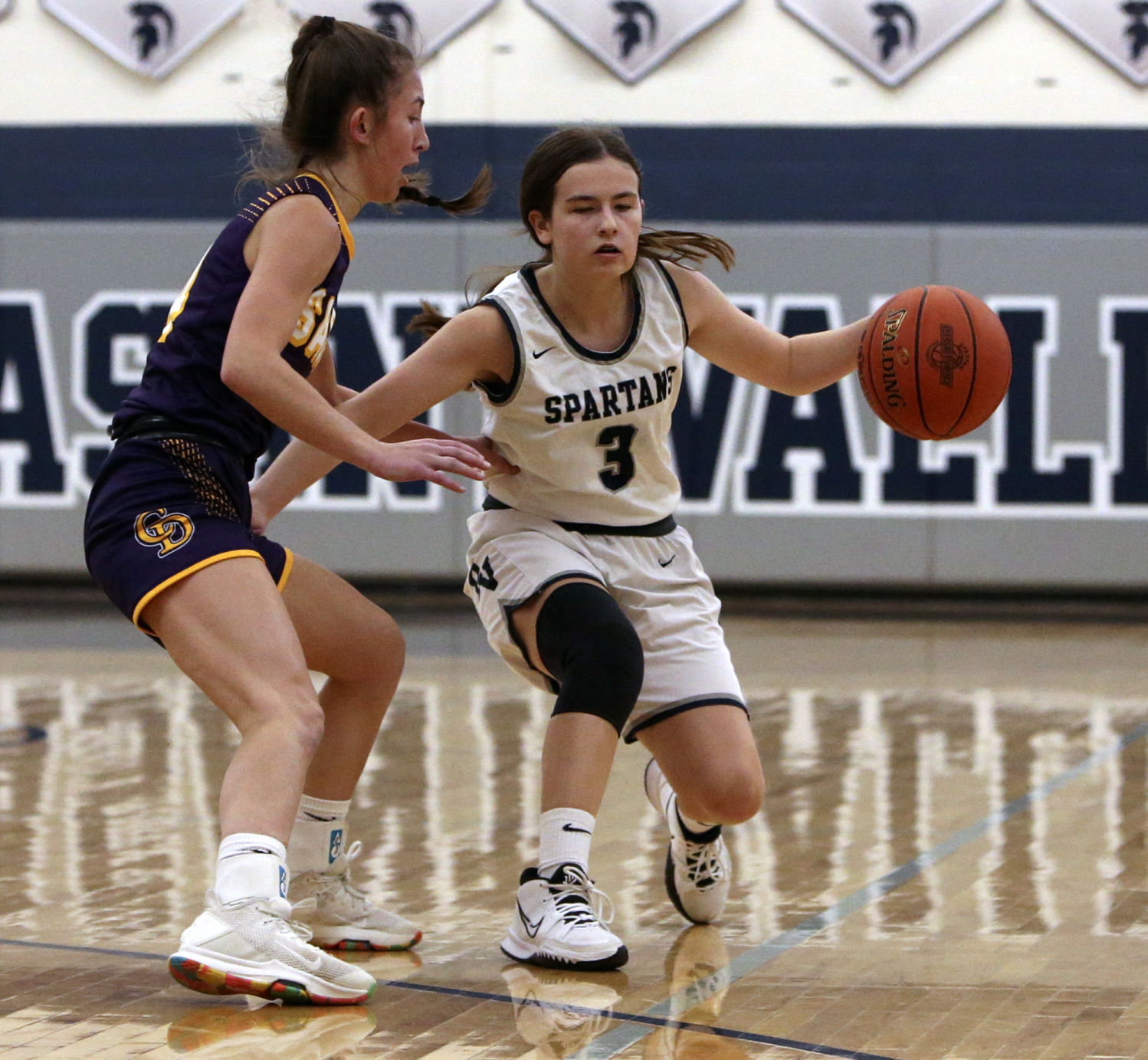 120321-qc-spt-dewitt-pv gbkb004.JPG